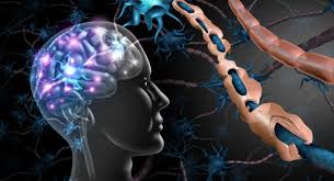 Best Multiple Sclerosis Treatment in Pune